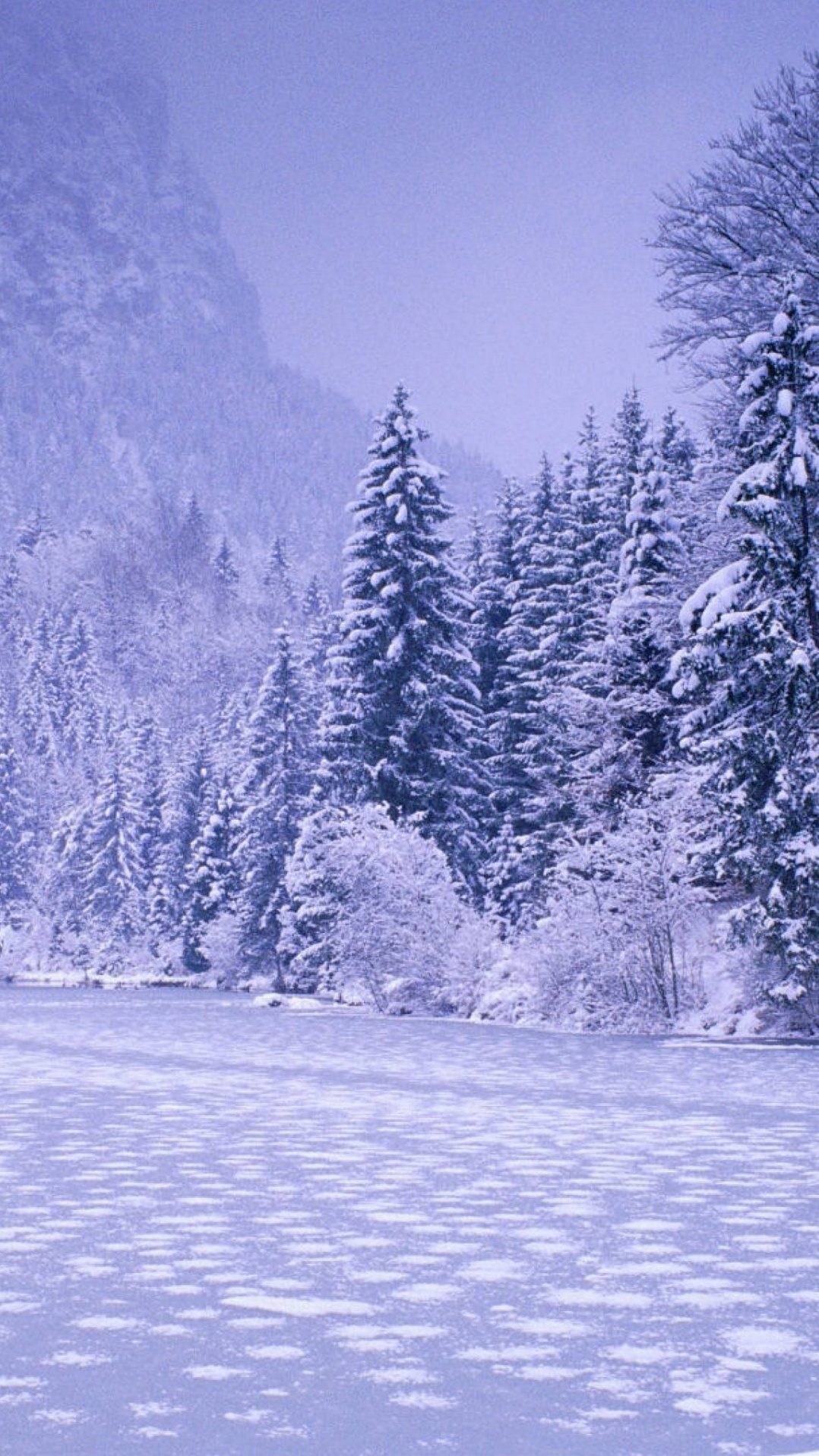 дерево, аниме, зима, природа, снег