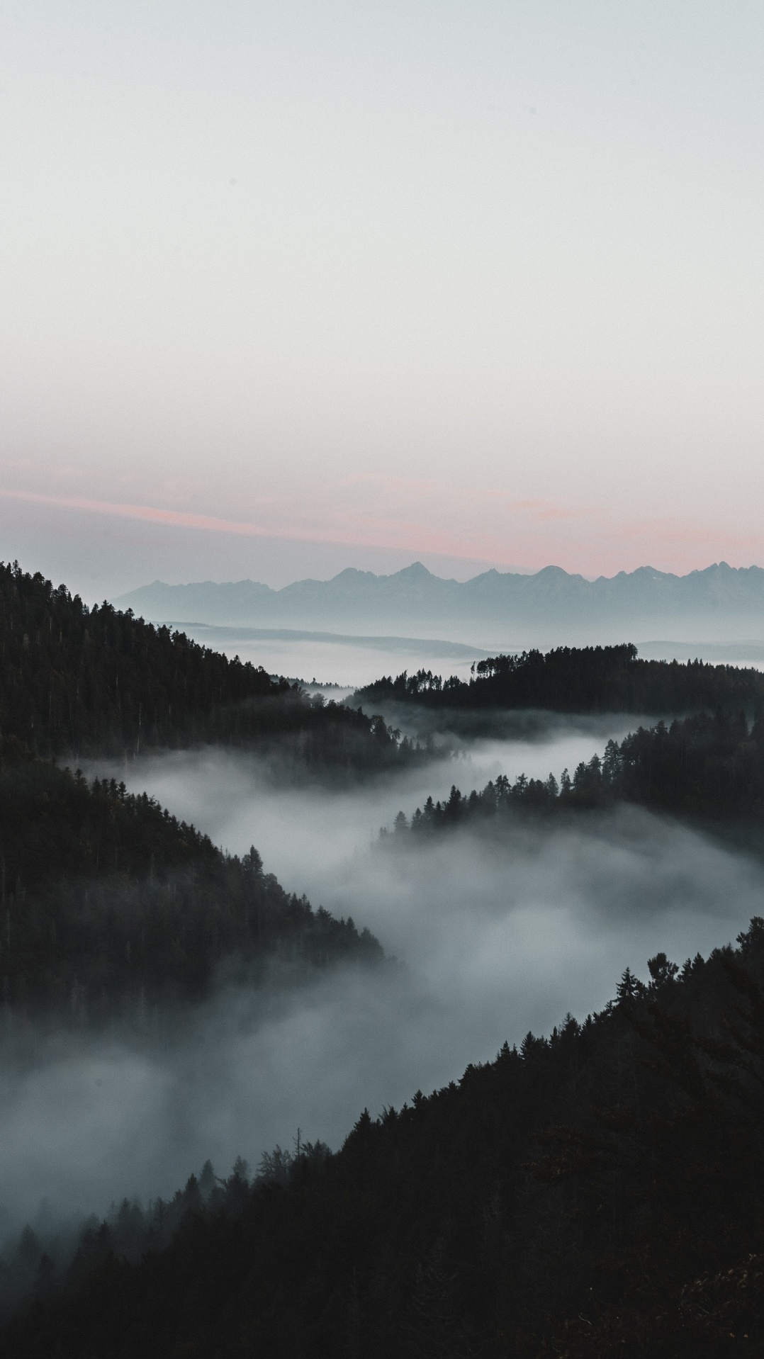 природный ландшафт, утро, дымка, туман, вода