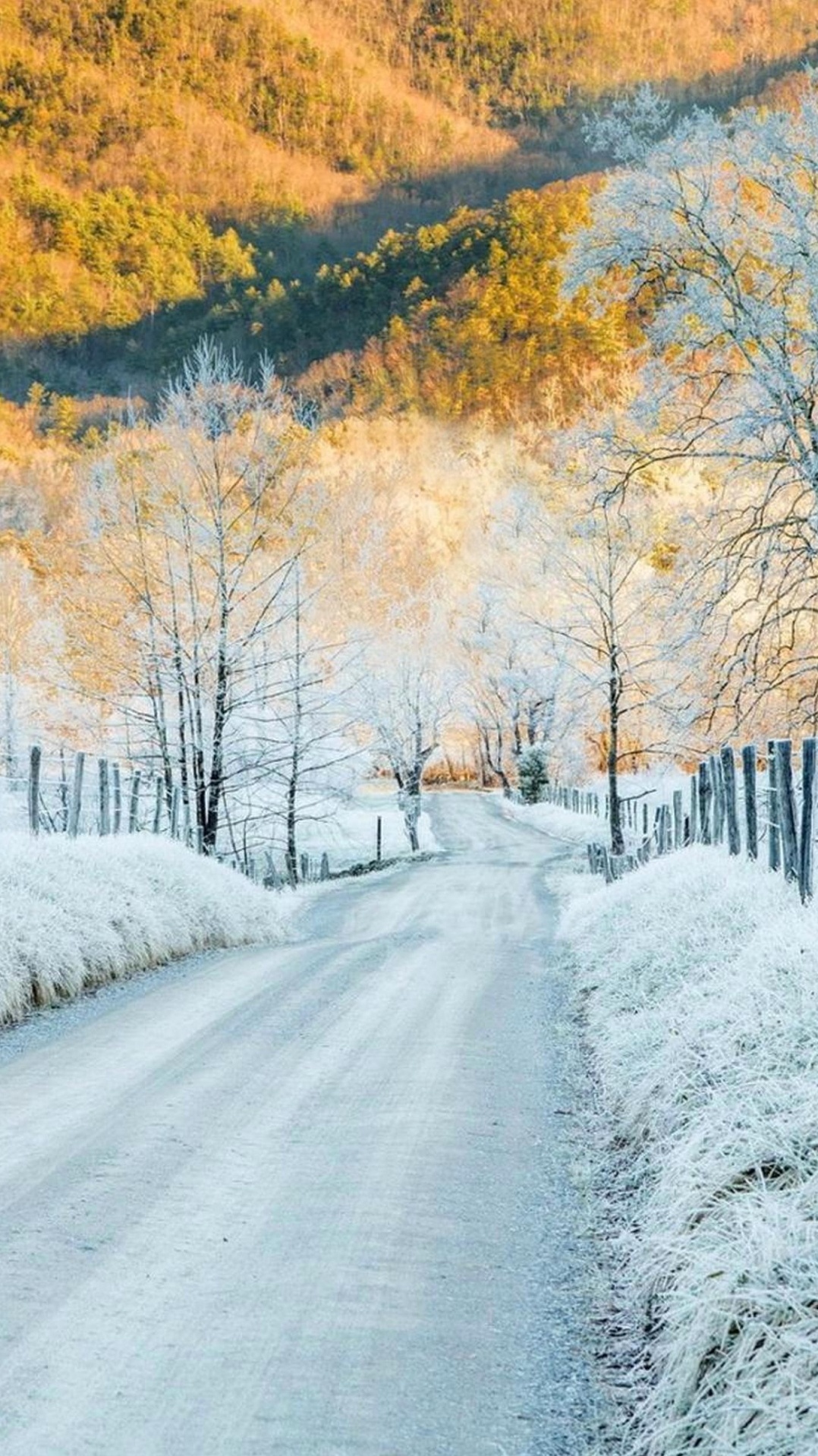 природа, дерево, снег, зима, мороз
