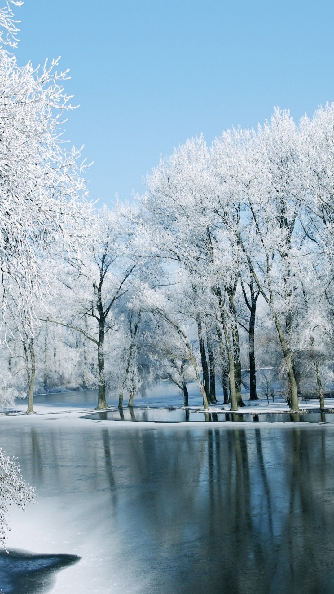 вода, снег, природа, дерево, зима