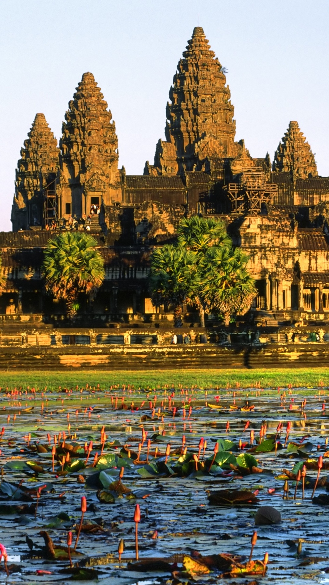 отражение, ангкор ват, храм, историческое место, уот