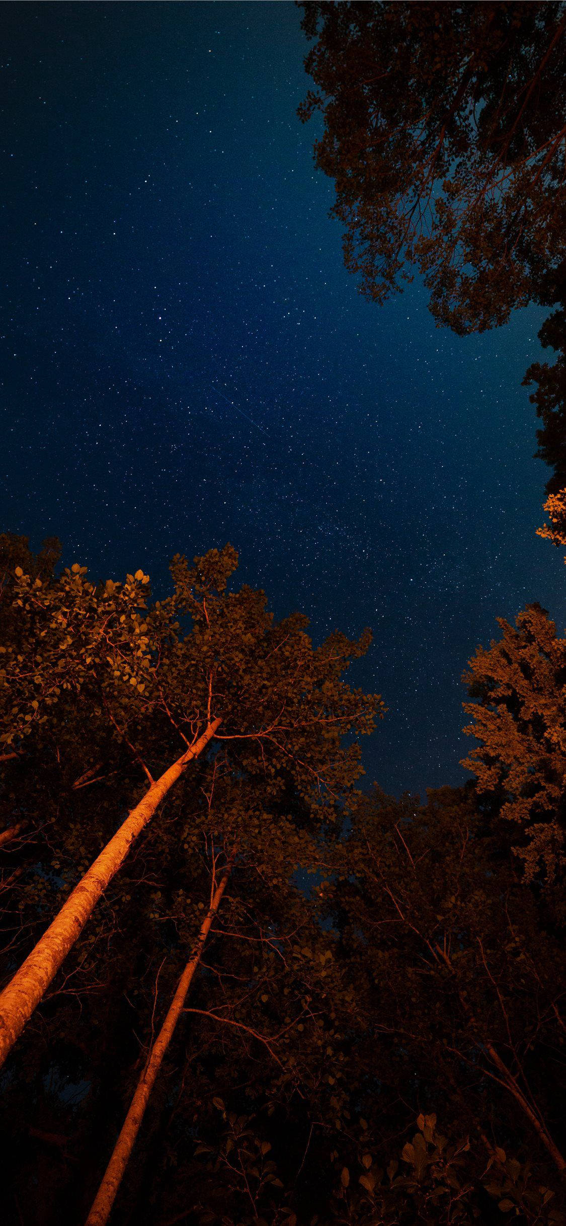 ночное небо в лесной эстетике iphone