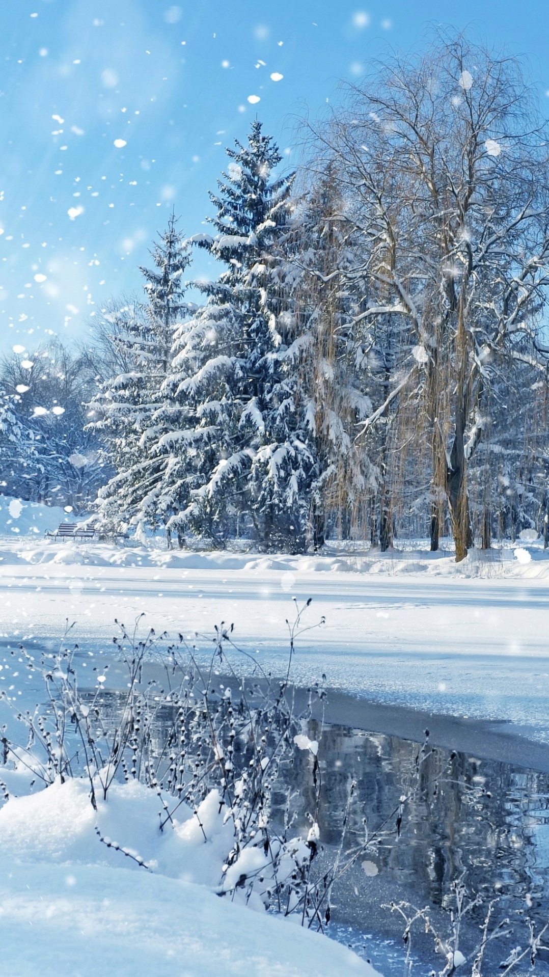 природа, снег, рождественский день, зима, дерево