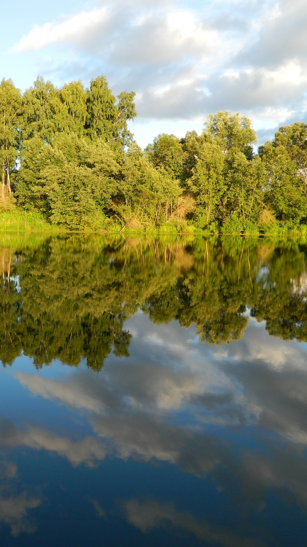 растительность, банк, вода, природа, отражение