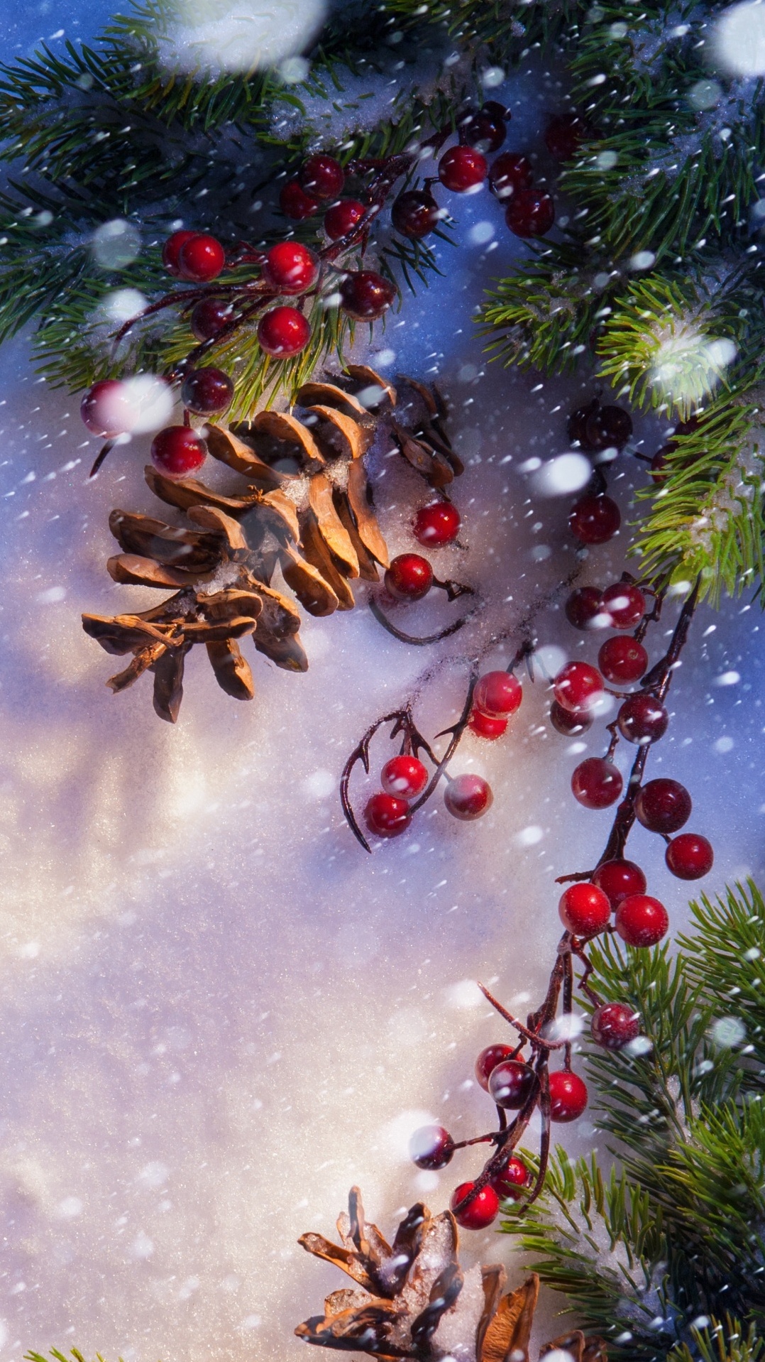 елка, дерево, зима, рождество, пихта