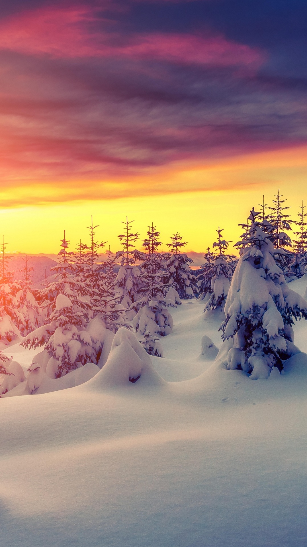 дерево, природа, замораживание, зима, снег