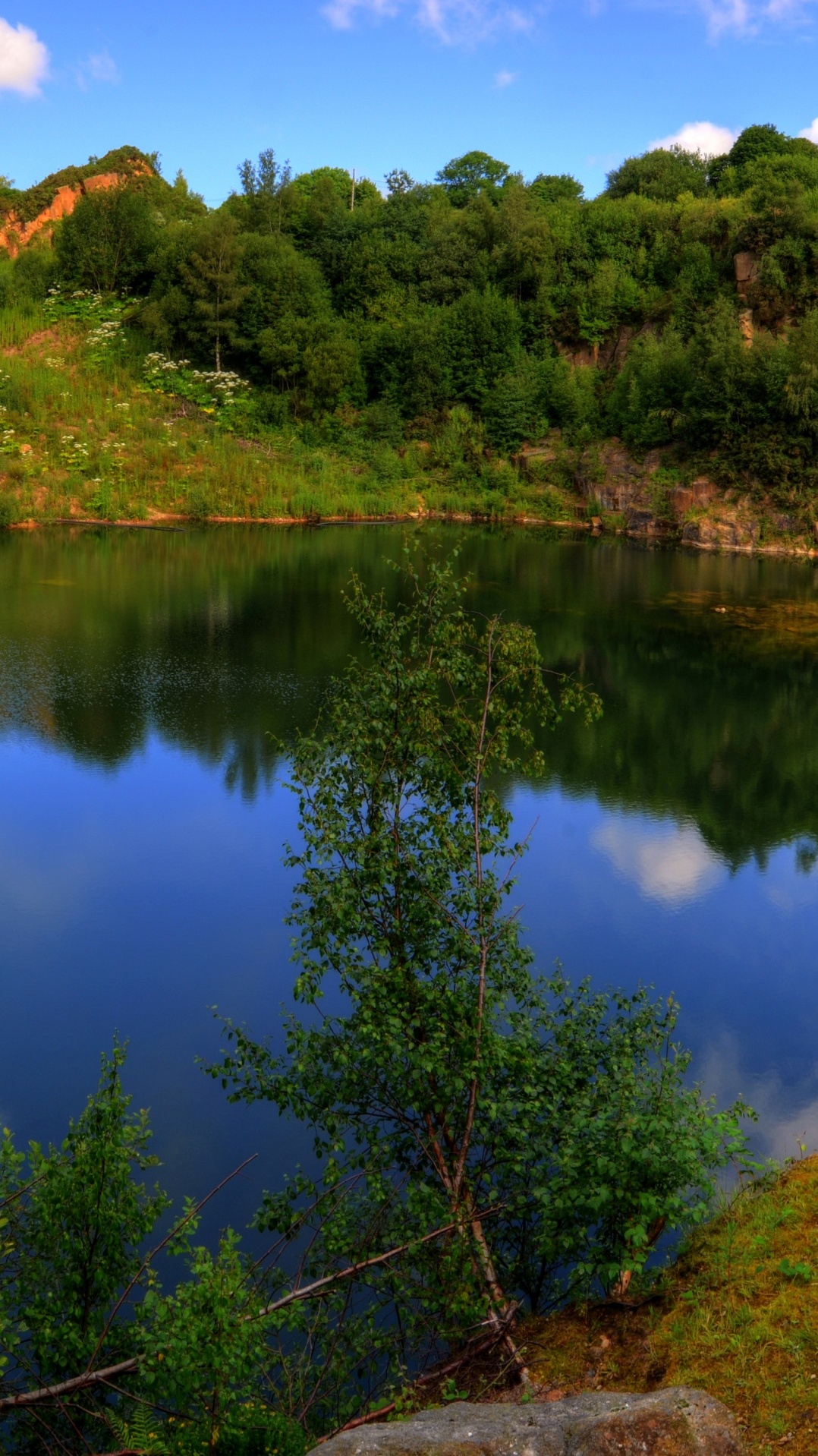 отражение, природа, вода, лето, природный заповедник