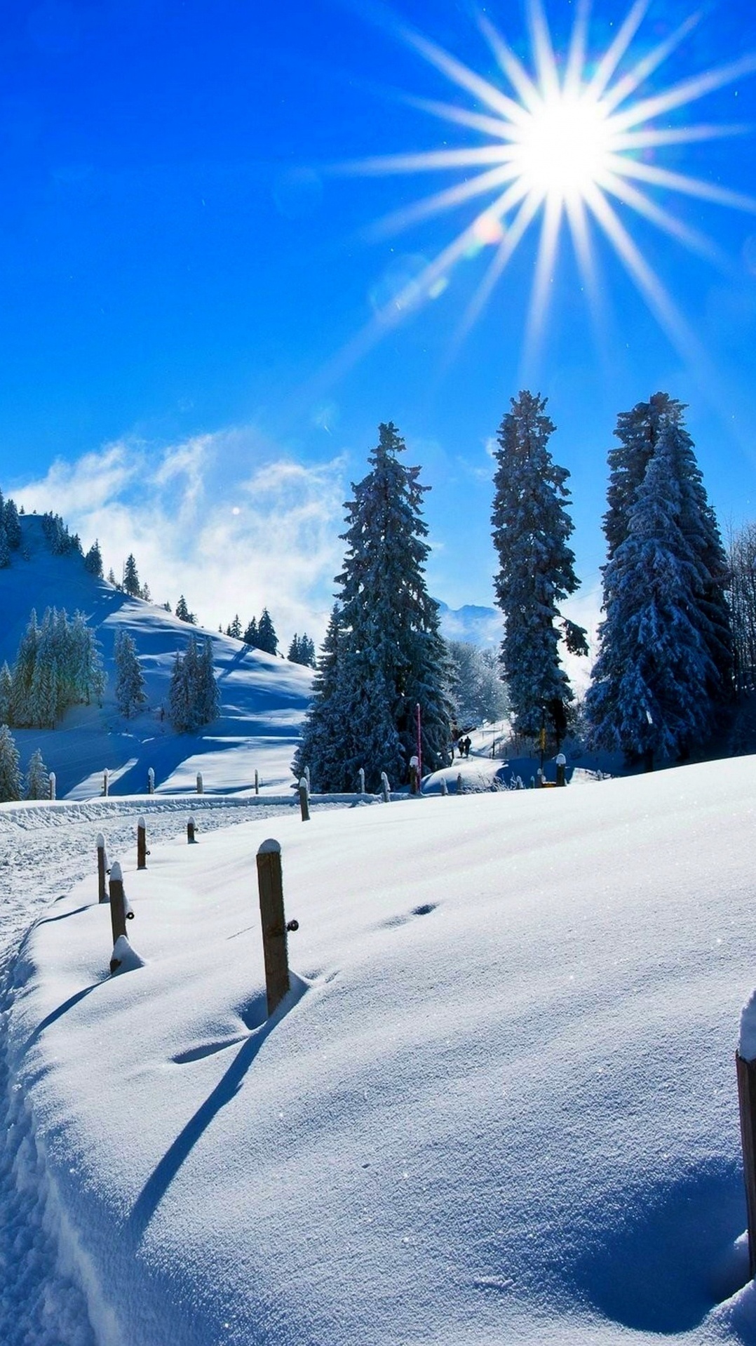 снег, дерево, альпы, лыжня, зима