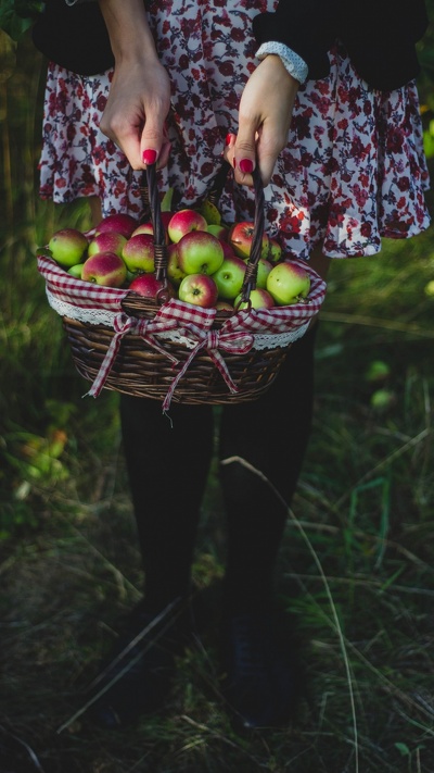 цветок, корзина, растение, фрукты, apple