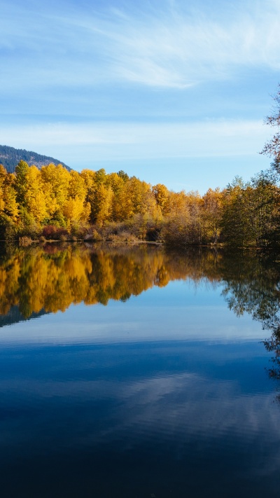 река чумыш, природа, республика алтай, отражение, реки