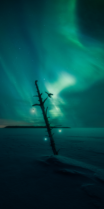 полярная ночь северное сияние