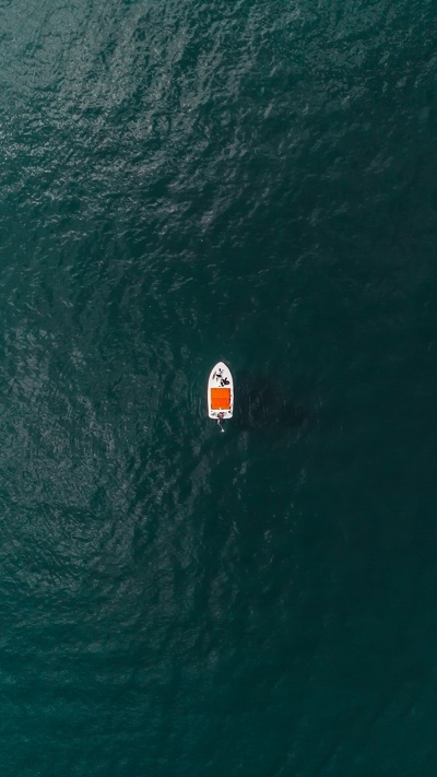 вода, ветровая волна, море, жизнь, волна