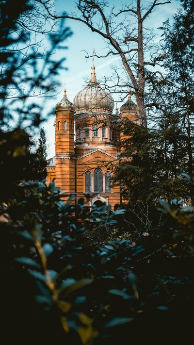 здание, ориентир, архитектура, ветвь, дерево