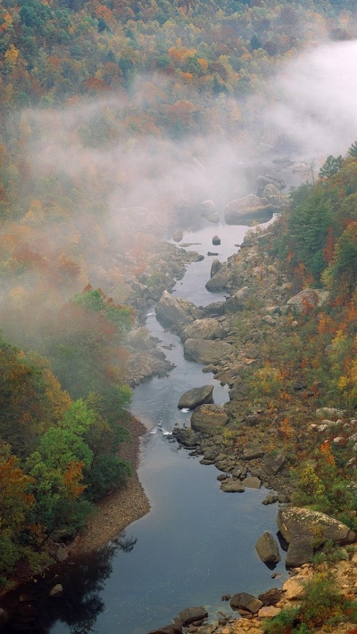 реки камберленд, лист, природа, вода, реки