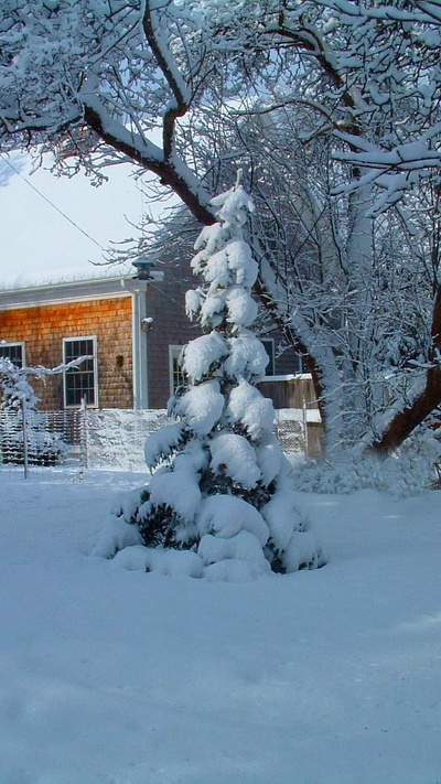 мороз, пейзаж, снег, родина, зима