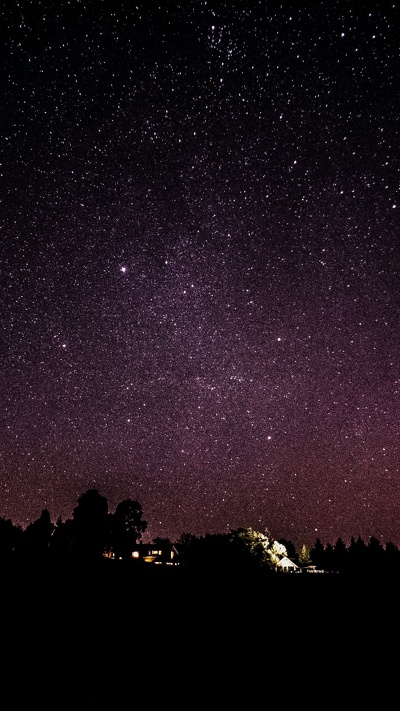 звезда, дерево, атмосфера, темнота, ночь
