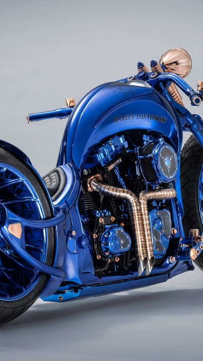 softail, harley davidson blue edition, мотоцикл, шина, харлей дэвидсон