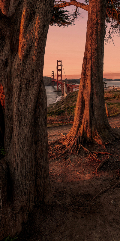 мост golden gate bridge америка