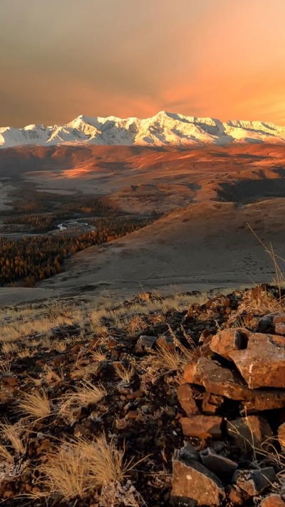 тундра, гора, алтайские горы, нагорье, дикая местность