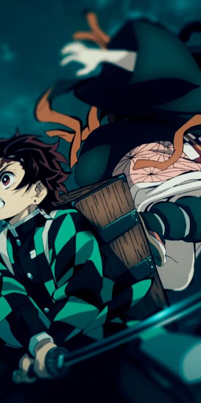 истребитель демонов : kimetsu no yaiba, незуко камадо, танджиро камадо, аниме