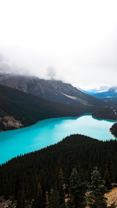 дикая местность, горный рельеф, озеро, icefields parkway и, банфф