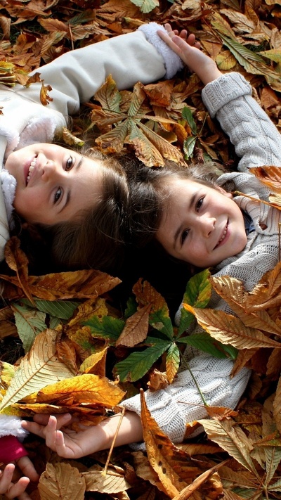 дружба, осень, листья, дерево, ребенок