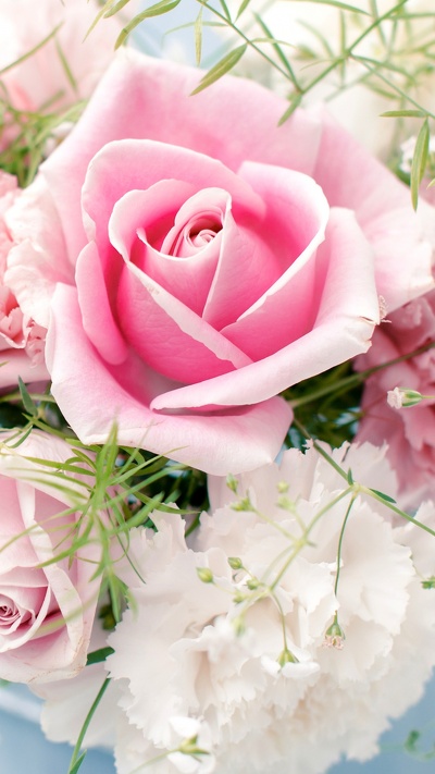 розовые цветы, розовый, роза, сад роз, цветочный букет