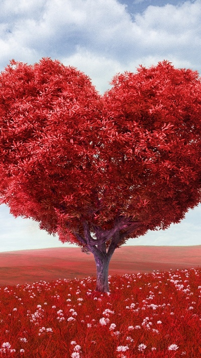 дерево, роман, красный цвет, чувства, любовь