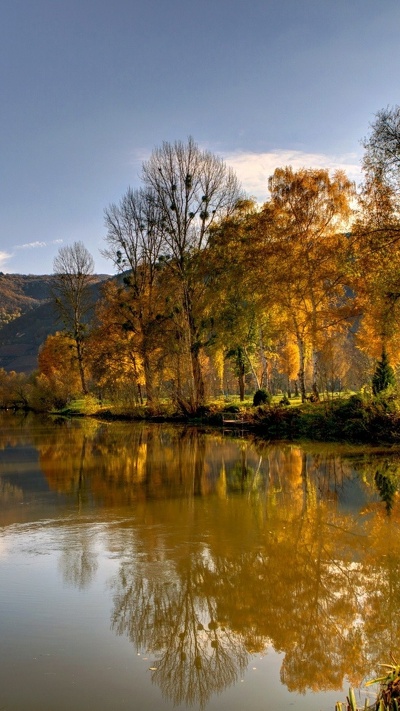 природа, отражение, вода, банк, реки