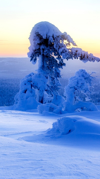 лед, тундра, зима, замораживание, снег