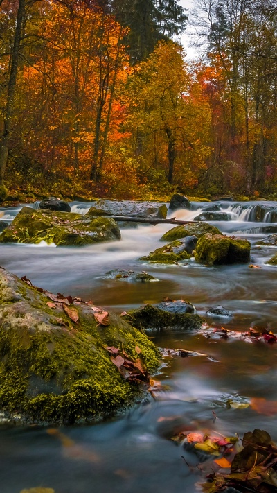 водоем, поток, вода, водоток, природа