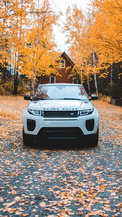 лист, land rover, дерево, авто, офф-роуд