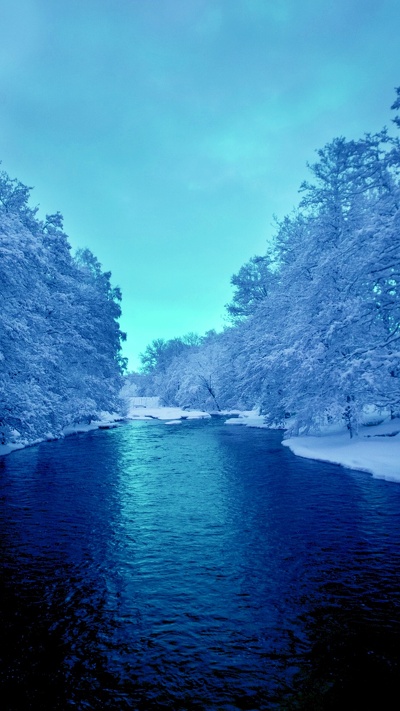 природа, вода, дерево, синий цвет, синий