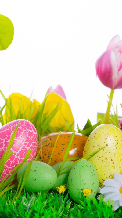 пасхальное яйцо, праздник, растение, пасха, весна