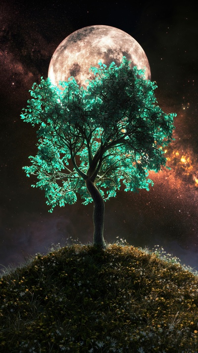 дерево, атмосфера, смартфон, мир, свет