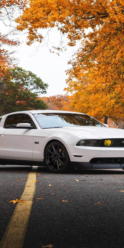 автомобиль 4k ultra hd mustang осенью