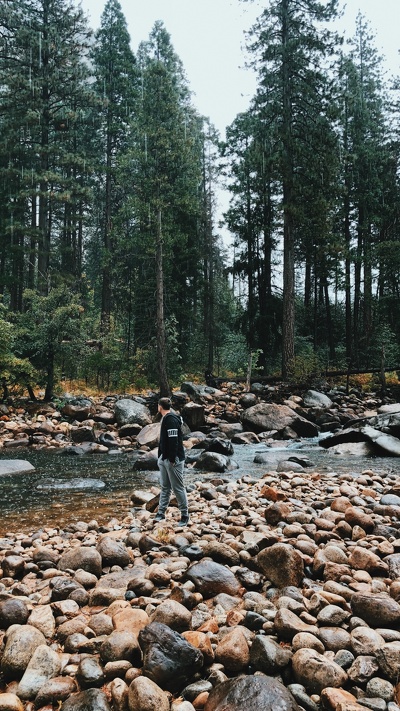 вода, дикая местность, старовозрастные леса, окружающая среда, русло ручья