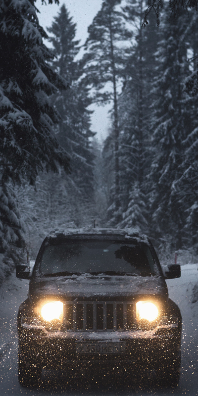 jeep grand cherokee в зимнем лесу