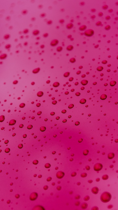 пурпурный цвет, вода, падение, красный цвет, розовый