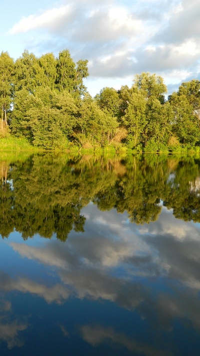 растительность, банк, вода, природа, отражение