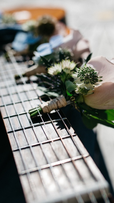 растение, акустическая гитара, цветок, щипковые струнные инструменты, гитара