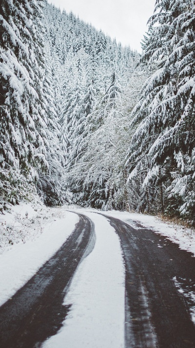 горы, снег, дорога, дерево, деревья