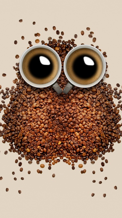 кофейное зерно, сова, иллюстрация, кофе, птица